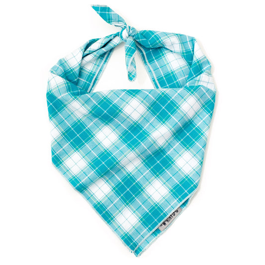 Madras Plaid Turquoise Bandana