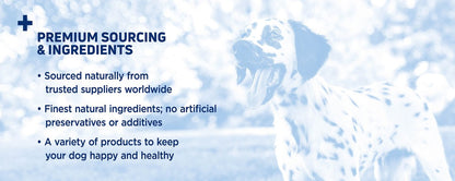 Barkworthies Odor-Free Standard Bully