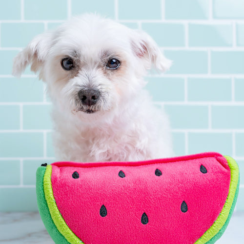 Watermelon Dog Toy