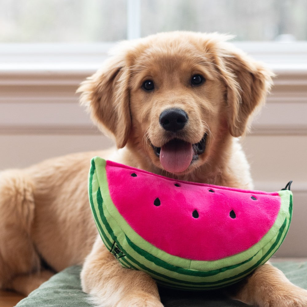 Watermelon Dog Toy