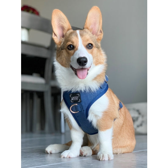 Dog Harness - Denim