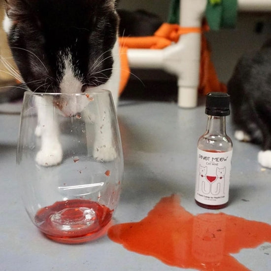 Cat Wine - Pinot Meow (Liquid Catnip For Cats)