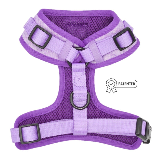 Dog Harness - Aurora