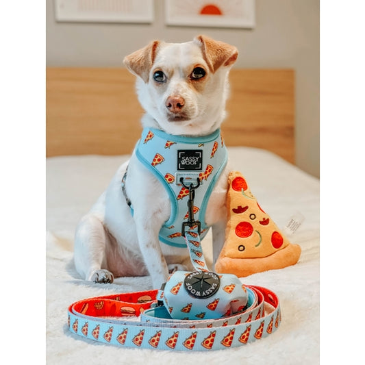 One Hot Pupperoni Reversible Dog Harness