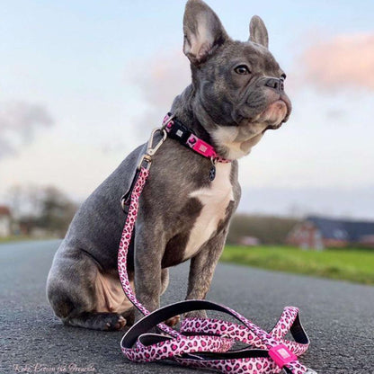 Smart ID Dog Collar - Leopard Pink