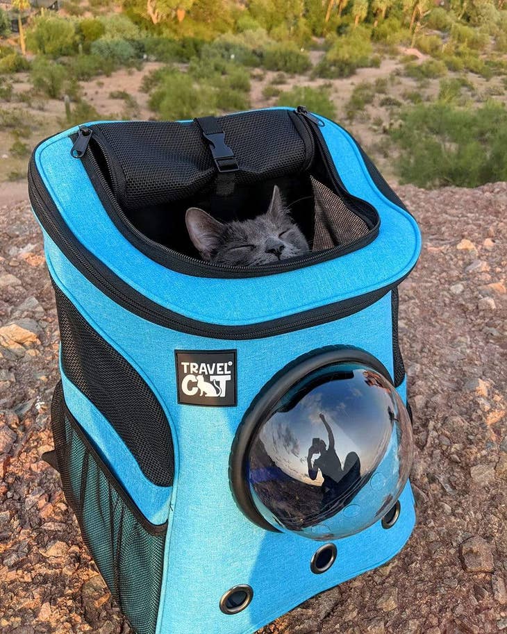 The Fat Cat Cat Backpack(For Larger Cats) - Bubble Pet Carrier Aqua
