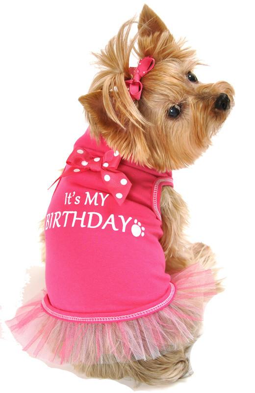 It's My Birthday - Ribbon Bow Hot Pink
