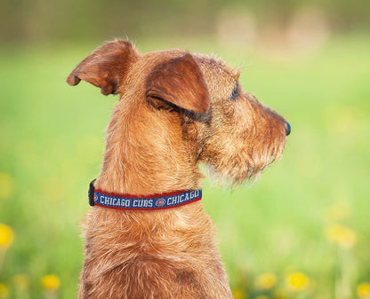 MLB Chicago Cubs Collar