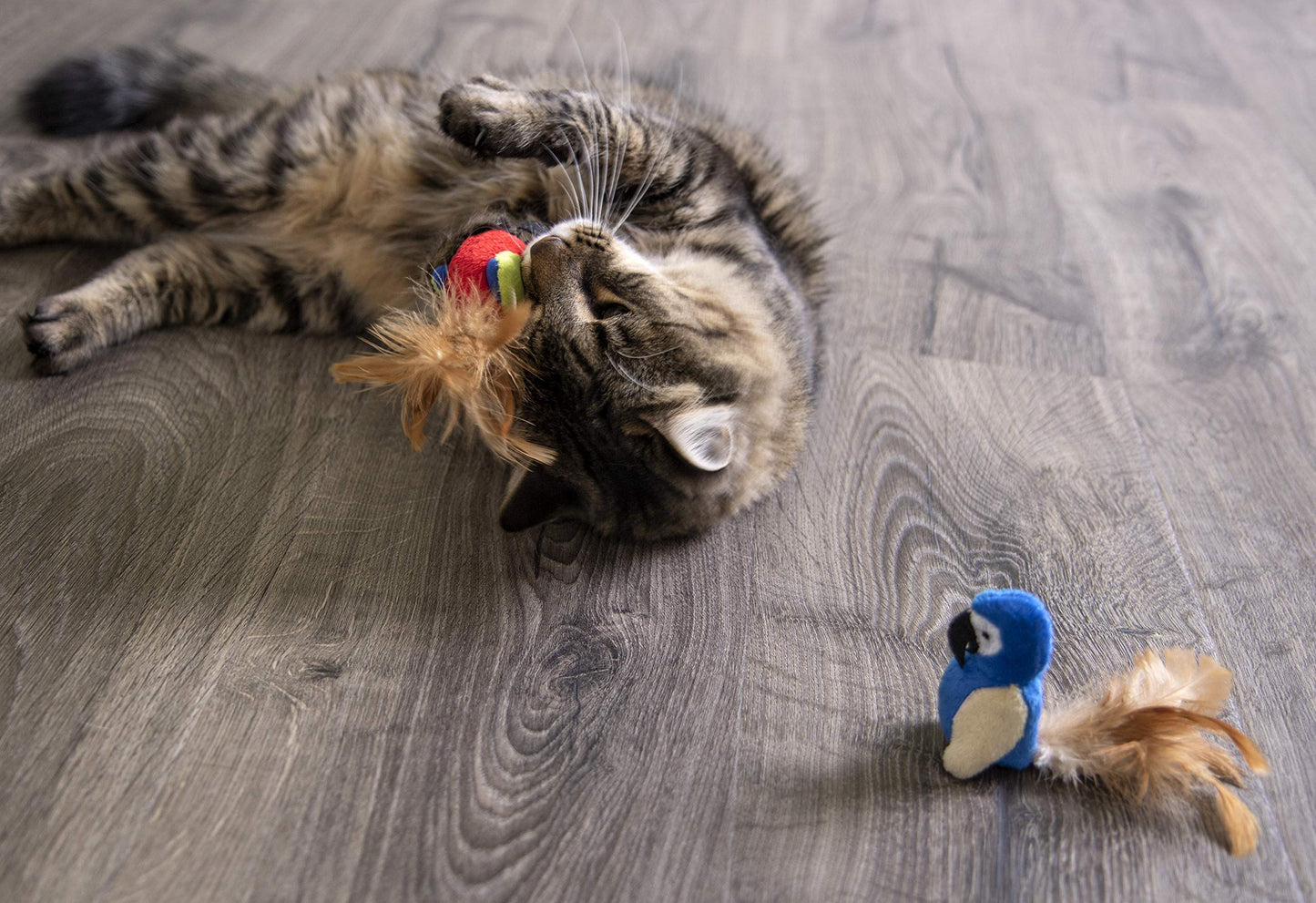 Parrot Tweet Cat Toy