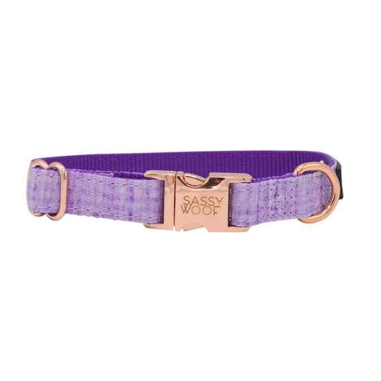 Dog Collar - Aurora