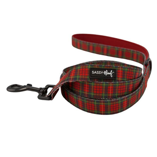 Fabric Dog Leash - Deck The Paws