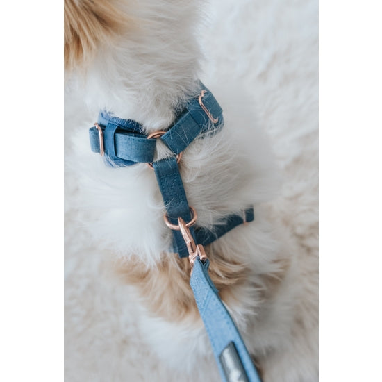 Dog Harness - Denim