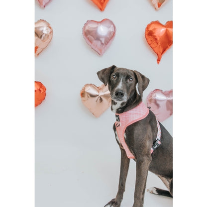 Reversible Dog Harness - Dolce Rose