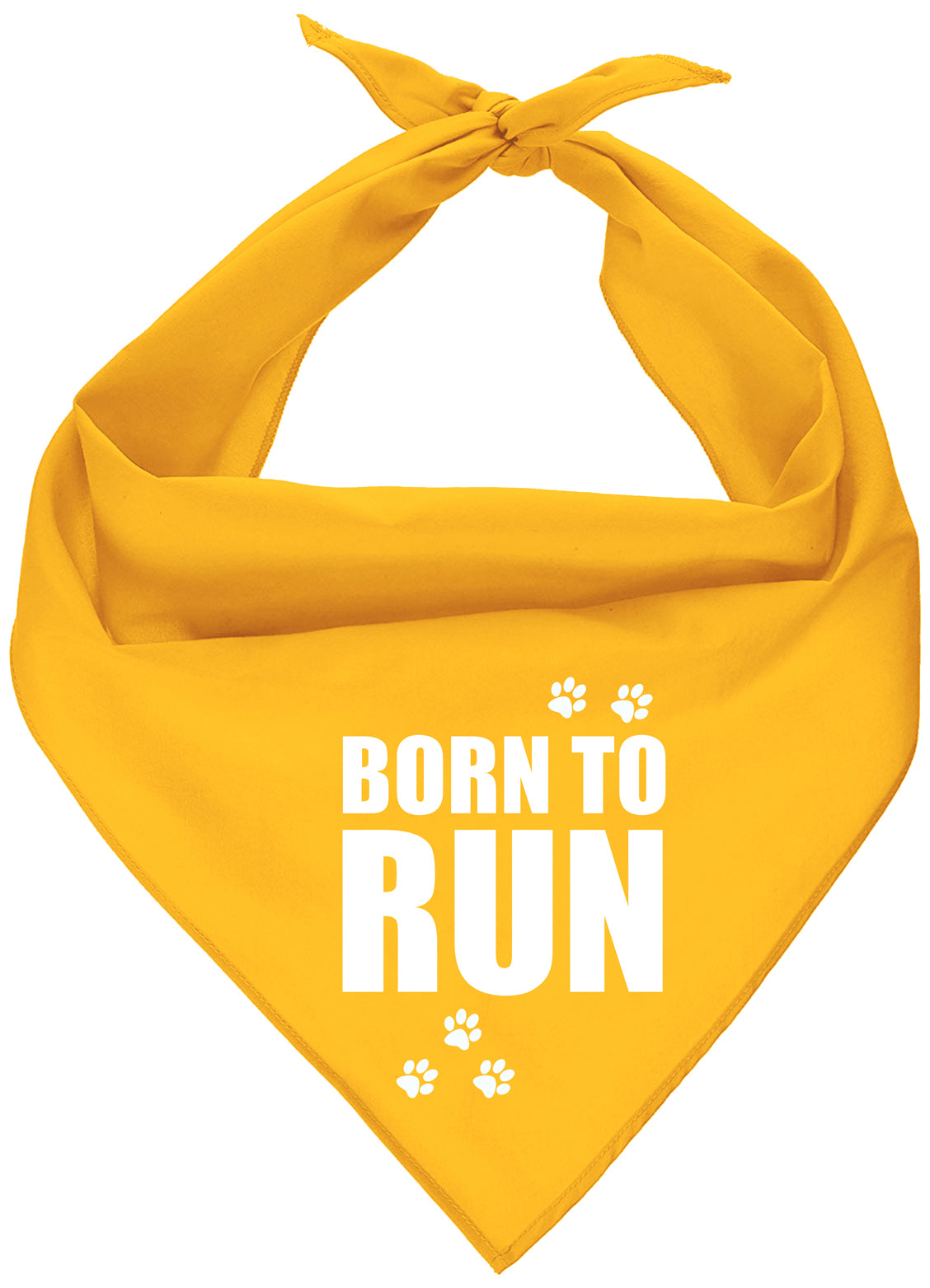 Born To Run Bandana