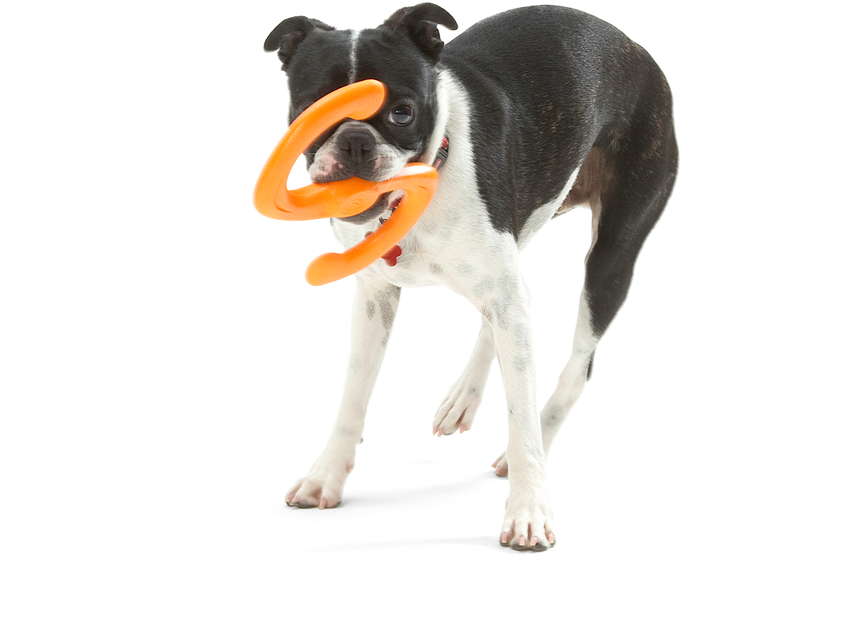 Būmi Tug Toy