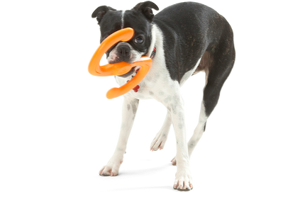 Būmi Tug Toy