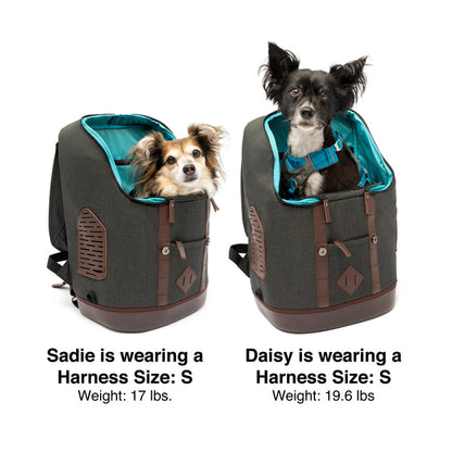 K9 Rucksack
