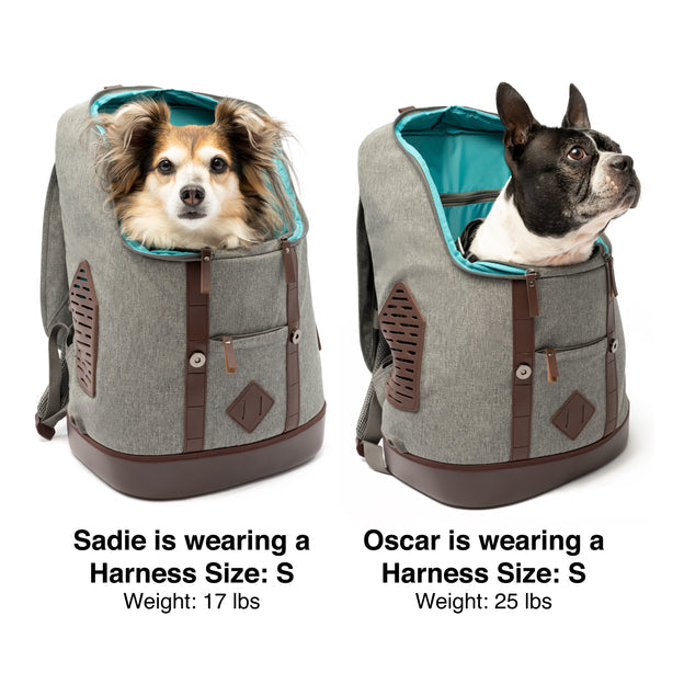K9 Rucksack