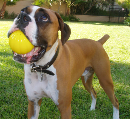 Pet Qwerks Animal Sounds Babble Ball