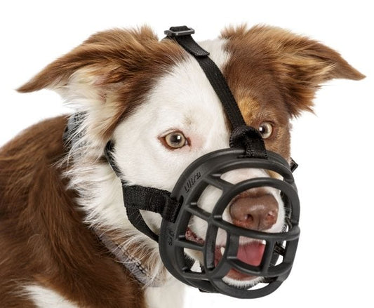 Baskerville Ultra Muzzle Size