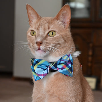 Blue Madras Bow Tie