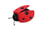 Lola the Ladybug Toy