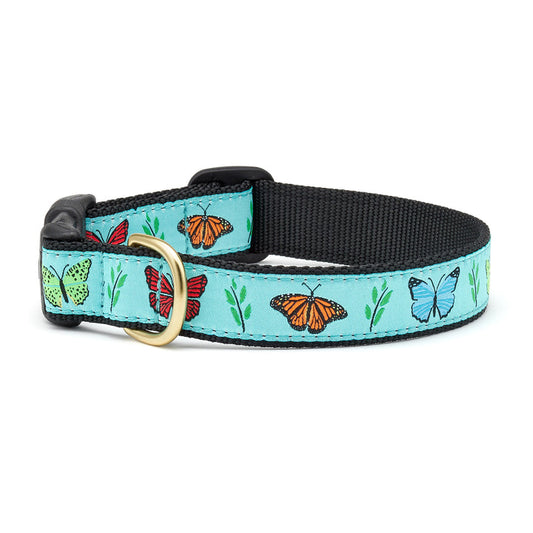 Butterfly Effect Dog Collar
