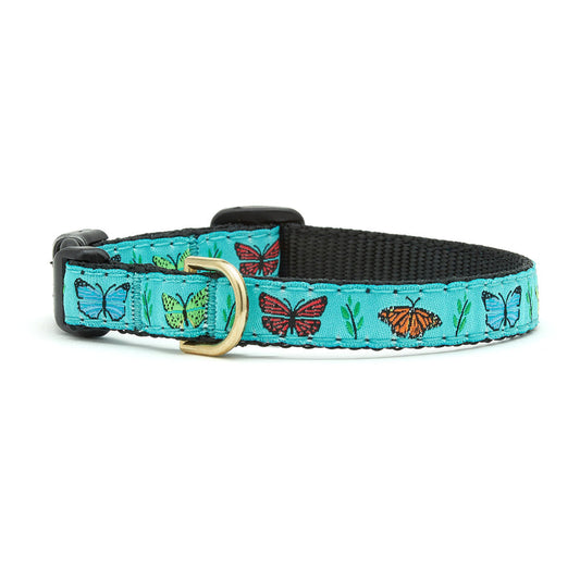 Butterfly Effect Small Breed Dog Collar