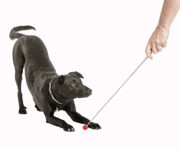 Target Stick