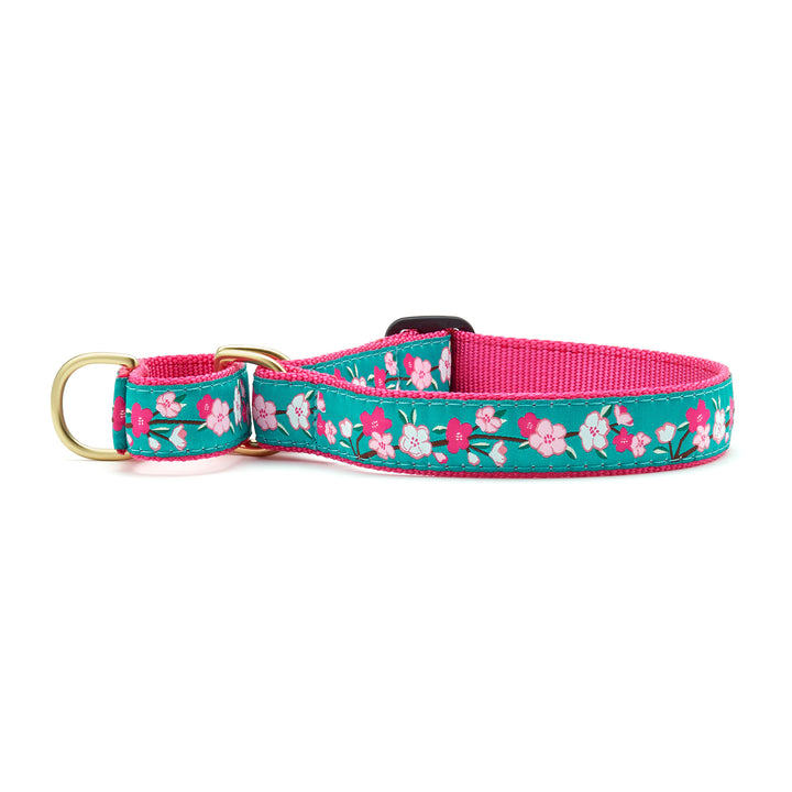 Cherry Blossoms Dog Collar Martingale