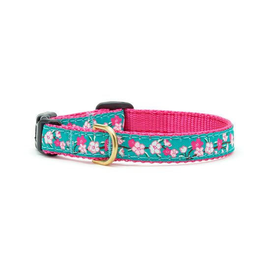 Cherry Blossoms Small Breed Dog Collar