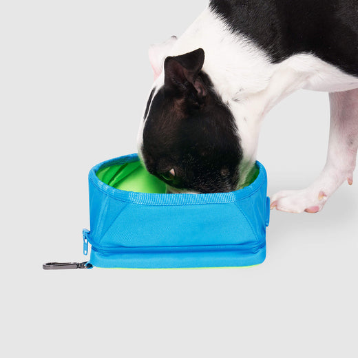 Chill Seeker Freeze-And-Go Water Bowl