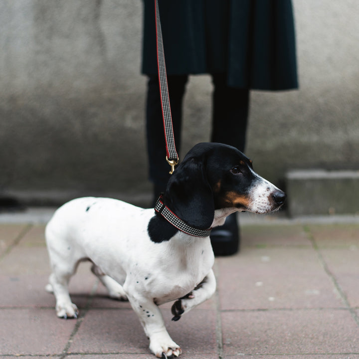 Classic Black Houndstooth Dog Lead