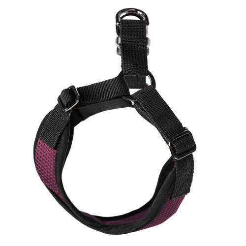 Comfort X Step-In Harness