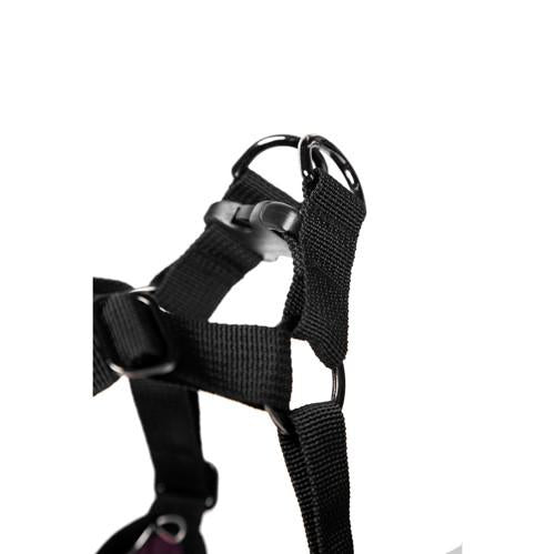 Comfort X Step-In Harness