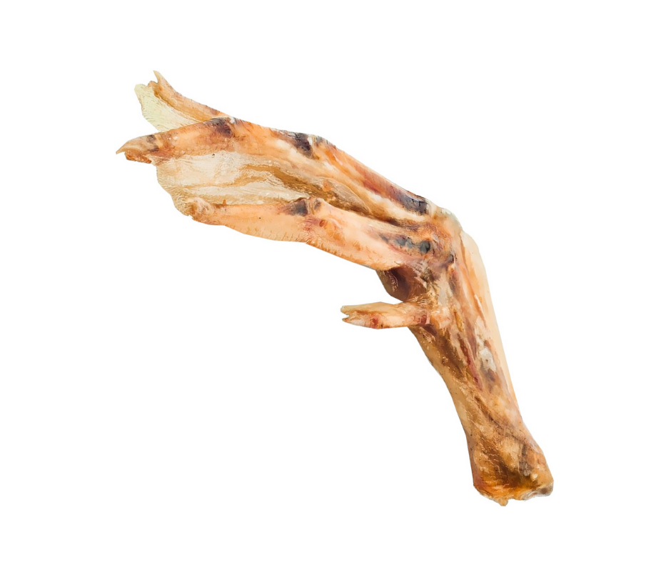 Barkworthies Duck Feet – Sold Individually