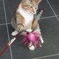 PURRfect Crinkle Bouncer Toy