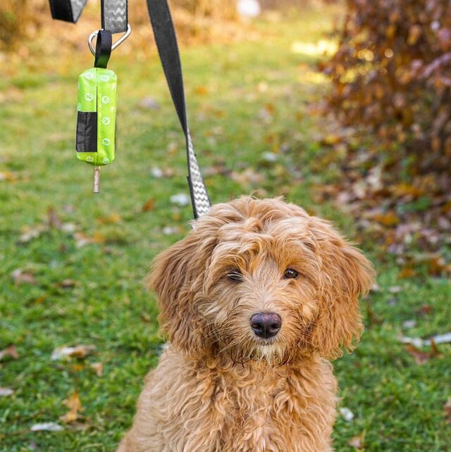 Duffel Dog Poop Bag Holder Mini