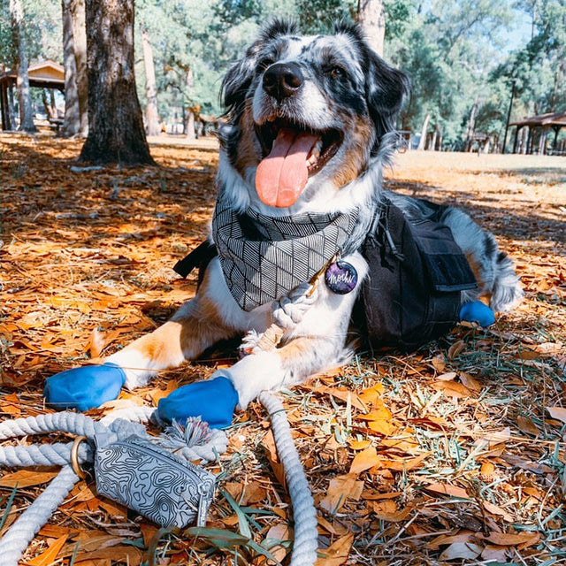 Duffel Dog Poop Bag Holder Mini