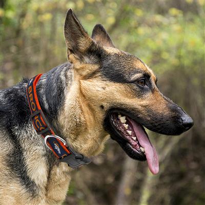 NFL Denver Broncos Pet Leash