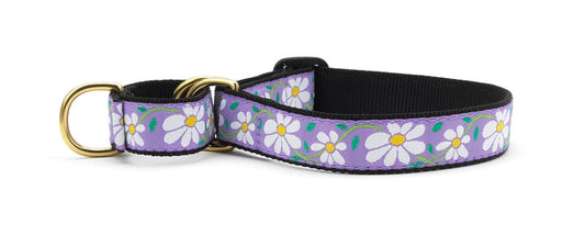 Daisy Martingale Dog Collar
