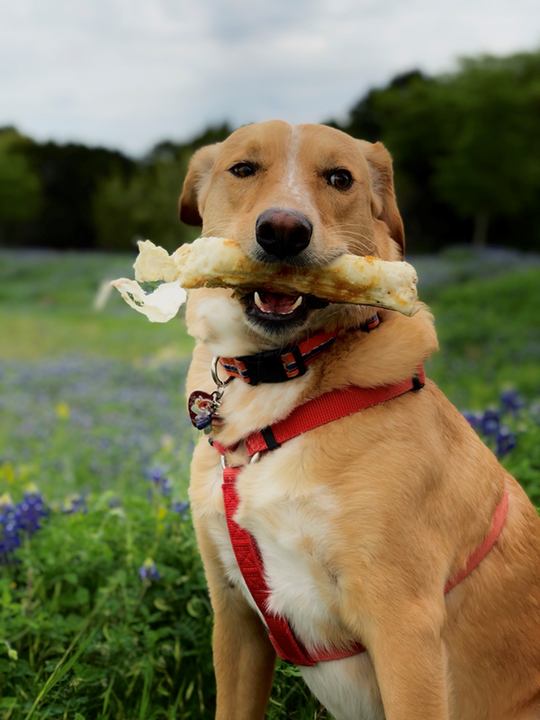 Peanut Butter No-Hide® Wholesome Chews - Large