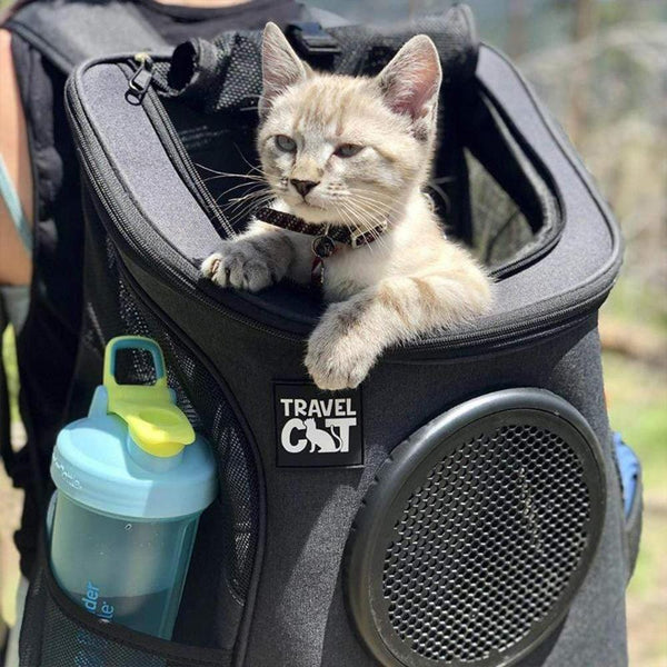 Bubble Pet Carrier / Cat Backpack(For Larger Cats)