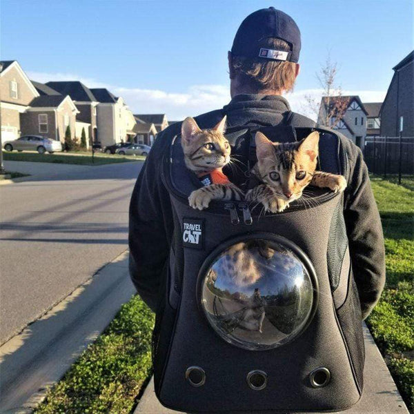 "The Fat Cat" Cat Backpack(For Larger Cats) - Bubble Pet Carrier