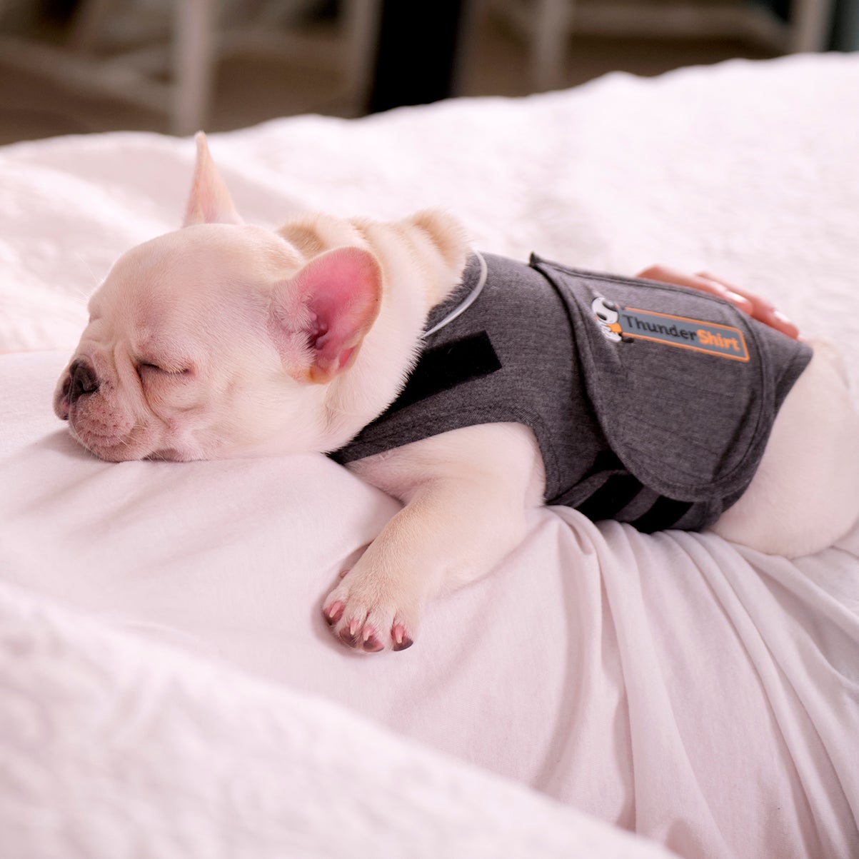 ThunderShirt for Dogs - Heather Gray Classic
