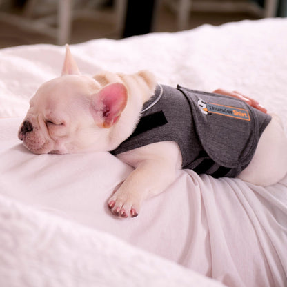 ThunderShirt for Dogs - Heather Gray Classic