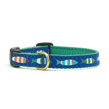 Funky Fish Small Breed Dog Collar