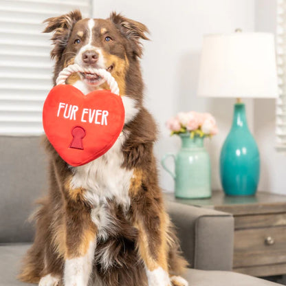 Fur Ever Lock Heart Dog Toy