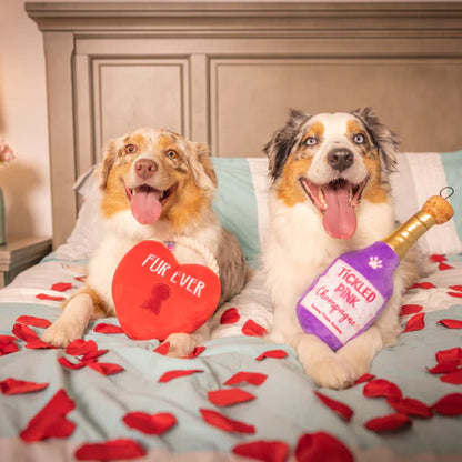 Fur Ever Lock Heart Dog Toy