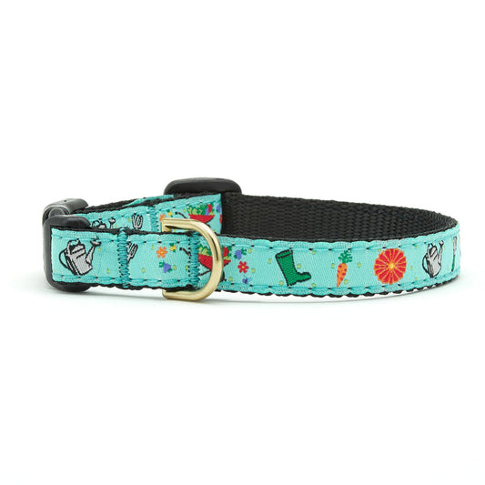 Garden Pawty Small Breed Dog Collar